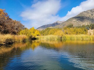 Pond on a Sunny Southern California Autumn Day