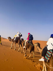Women Riding Camels in the Sahara Desert Morocco
