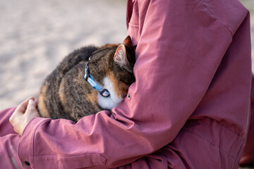 Stressed nervous cat frightened hiding in owner hands afraid outdoors on walk. Anxious feline seeking shelter, overwhelmed needing protection, outdoor fear, sensory overload, animal discomfort
