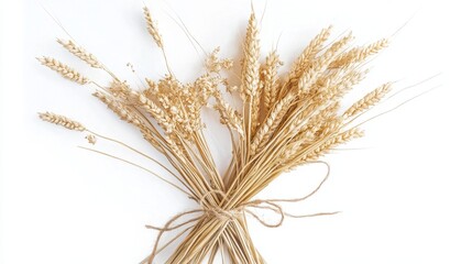 Obraz premium Wheat ears laid out on white--ideal for packaging design.