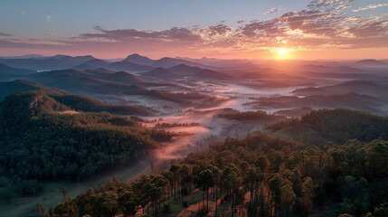 aerial forest and mountain range at sunrise with mist and golden light