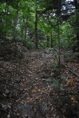 Sentier Falaise La Rouche 17 Août 2025
