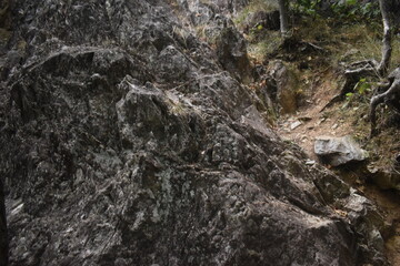 Sentier Falaise La Rouche 17 Août 2025