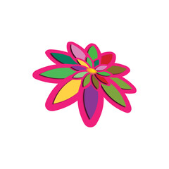 pink flower isolated on white