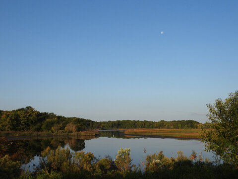 The natural beauty of the wetlands, with the early morning light and reflection upon still water. Bombay Hook National Wildlife Refuge, Kent County, Delaware.