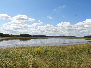 The scenic beauty of the wetlands within the Bombay Hook National Wildlife Refuge. Natural reflections upon still, calm water. Kent County, Delaware.  