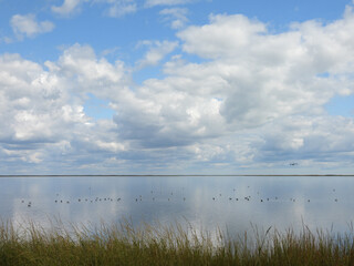 The scenic beauty of the wetlands within the Bombay Hook National Wildlife Refuge. Natural reflections upon still, calm water. Kent County, Delaware.  