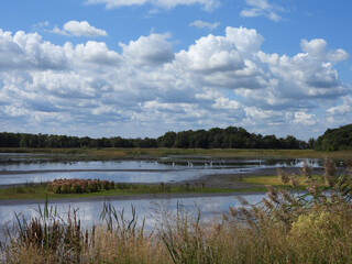 The scenic beauty of the wetlands, within the Bombay Hook National Wildlife Refuge, Kent County, Delaware.