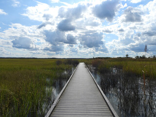 Visitors can enjoy a hike out into the marshland, walking along the Boardwalk Trail, within the Bombay Hook National Wildlife Refuge, Delaware.  
