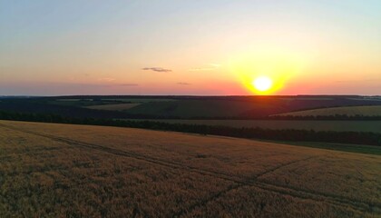 Golden sunset over a field