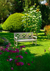 wygodna drewniana ławka na trawniku wśród zielni i kwiatów, jasna ławka drewniana w ogrodzie, Kosmos podwójnie pierzasty, Cosmos bipinnatus, Wooden bench in a garden with lush greenery and flowers  © kateej