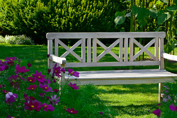 wygodna drewniana ławka na trawniku wśród zielni i kwiatów, jasna ławka drewniana w ogrodzie, Kosmos podwójnie pierzasty, Cosmos bipinnatus, Wooden bench in a garden with lush greenery and flowers  © kateej