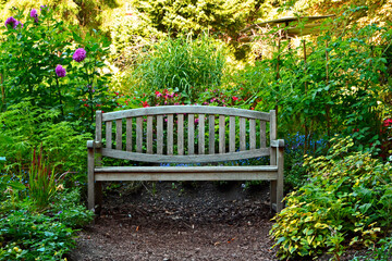 wygodna drewniana ławka wśród roślin, wygodna ławka drewniana w ogrodzie, Drewniana ławka w ogrodzie z bujną zielenią, Wooden bench in a garden with lush greenery
