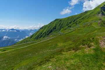 Fototapeta premium serene winding road traversing the lush green hillside of the Swiss mountains under a bright blue sky with fluffy clouds and expansive mountain views