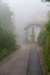 mysterious fog enveloping a quaint swiss village street, revealing charming homes and lush greenery