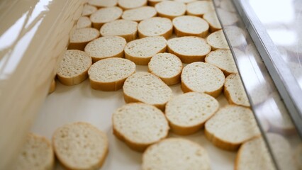 Round sliced bread moving on conveyor belt in food processing plant