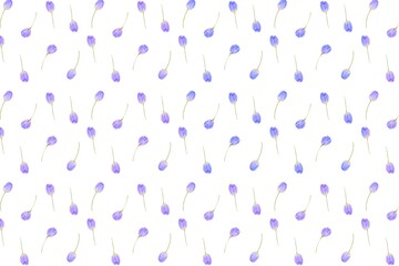 Rose buds background, abstract purple background