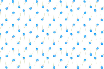 Rose buds background, abstract blue backgroun