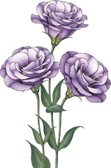 Three Stems of Purple Lisianthus