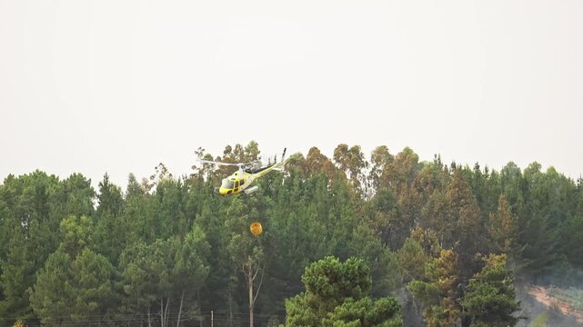 Powerful yellow firefighting helicopter lifting massive water bucket, flying over burning forest landscape, battling raging wildfire with precision rescue effort