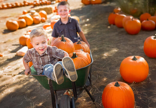 Two Little Boys Playing in Wheelbarrow at the Pumpkin Patch on a Sunny Fall Day.