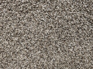 Carpet texture