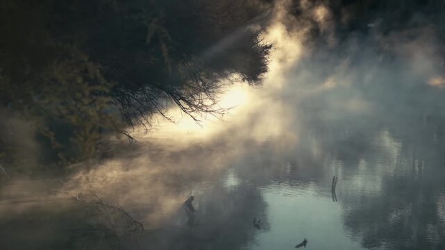Golden morning light catching the steam off a natural hot pool in New Zealand.