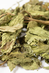 angle view herb TianYeJu or Stevia Rebaudiana or Stevia at vertical composition