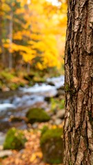 Obraz premium Autumn forest scene with a flowing stream and a tree trunk