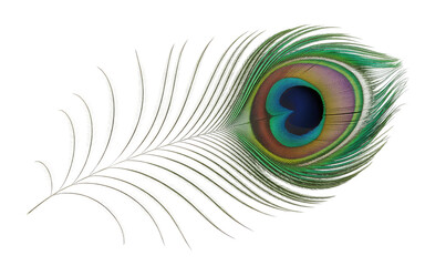 Obraz premium Stunning peacock feather showcases vibrant iridescent eye and delicate plume, perfect for elegant design projects.