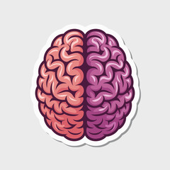 Illustration of a human brain isolated on white background, showcasing its anatomy, lobes, and cognitive functions, perfect for medical, scientific, or educational purposes