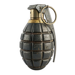 Fototapeta premium Grenade illustration stock