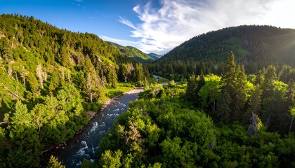 Panoramic view of a river winding through a lush valley