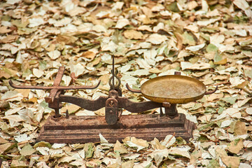 Vintage metal balance scale with rusted details placed outdoors on a ground covered with dry fallen leaves. antique equipment