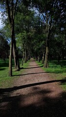 Fototapeta premium Caminata en el parque 