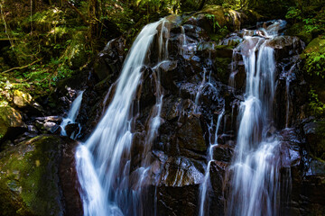 Obraz premium 鶏鳴の滝