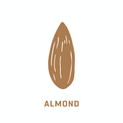 An almond Icon on a white background, A hand drawn illustration of an almond icon on a white background