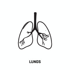 A lungs Icon on a white background, A hand drawn illustration of lungs icon on a white background