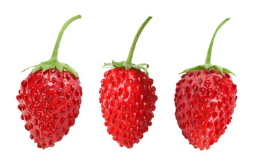Fresh ripe wild strawberries isolated on white, set