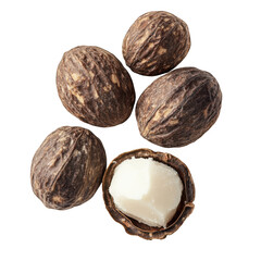 Raw shea nuts with creamy white interior unrefined brown