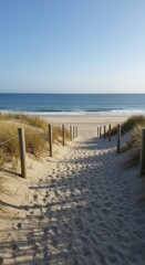Fototapeta premium Path to the Sunny Beach
