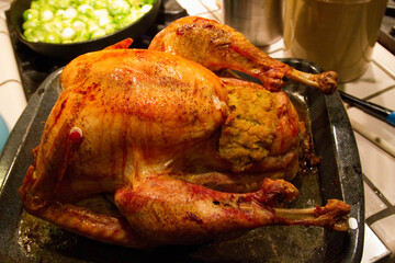 Turkey with Stuffing