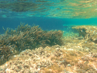 Dark blue ocean surface seen from underwater. Abstract waves underwater and rays of sunlight shining through, Sun light rays undersea deep, Underwater background with sea bottom, Mediterranean sea.