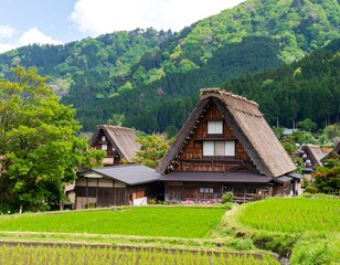Picturesque Japanese village nestled in mountains
