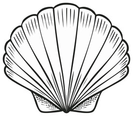 Outlined Scallop Seashell Illustration: Black Lines on White Background Creates an Artistic Sea Creature
