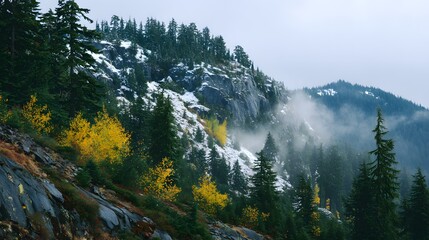 A misty mountainside slope, showcasing a mix of evergreen trees, rocky terrain, and patches of snow-dusted peaks, with vibrant autumnal yellow aspen trees adding a splash of color.