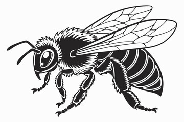 Obraz premium Honeybee sihouette black vector