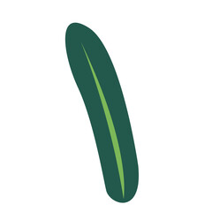 Abstract single dark green elongated leaf illustration, minimal eco botanical design symbolizing freshness, organic growth, simplicity, and natural concept.