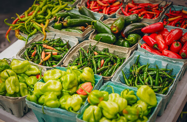 An assortment of colorful peppers fills cartons, with vivid reds, greens, and yellows creating contrast and showcasing the freshness and diversity of produce.
