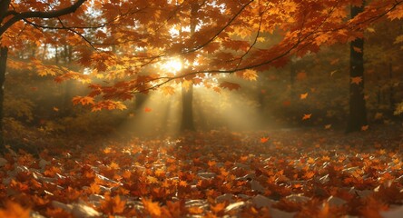 Sunlit Autumn Forest Scene Golden Maple Leaves Sunbeams Stock Photo
